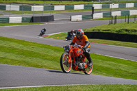 Vintage-motorcycle-club;eventdigitalimages;mallory-park;mallory-park-trackday-photographs;no-limits-trackdays;peter-wileman-photography;trackday-digital-images;trackday-photos;vmcc-festival-1000-bikes-photographs